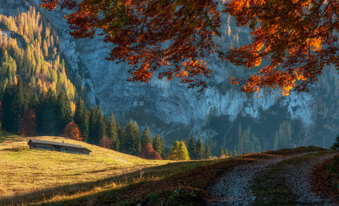 Autunno in Val Noana