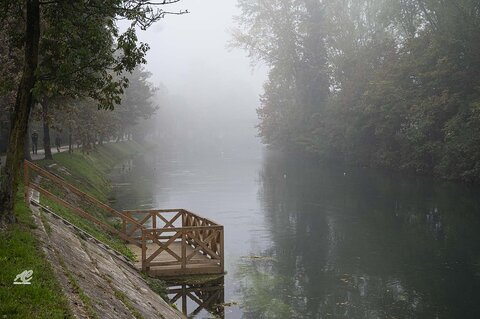 Nebbia sul fiume