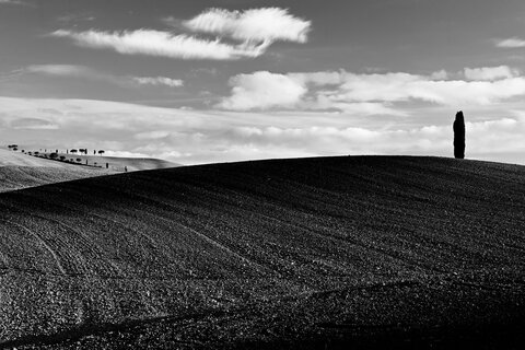 Paesaggio Toscano....