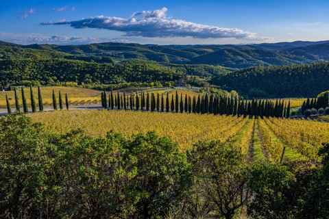 Autunno fra i vigneti del Chianti Classico