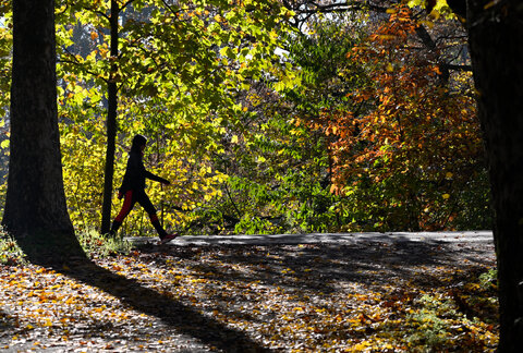 Controluce autunnale