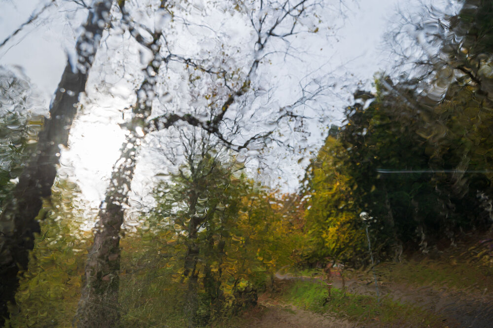 Z60_1217low.thumb.jpg.de207f9ea85fee9406d169cf1121a21b.jpg