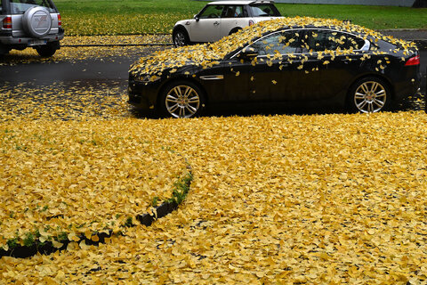 Autunno in città.