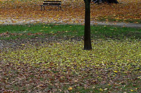 Autunno in città.