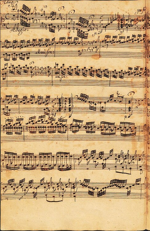 1823847035_Toccata_and_Fugue_in_D_minor_BWV_565_(Johannes_Ringk_manuscript).thumb.jpg.a82595d9e805e354504cc6b619cd4af1.jpg