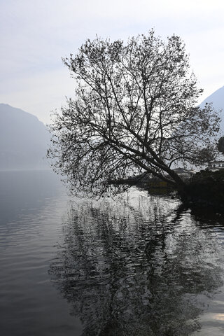 Lugano - Controluce