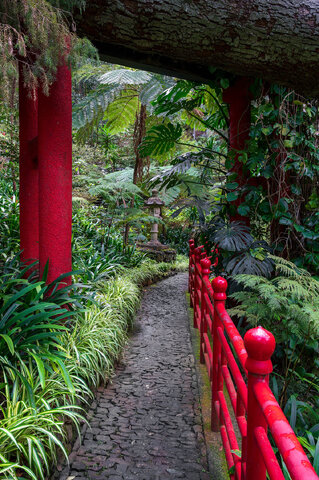 Giardino botanico di Funchal - Madeira 4