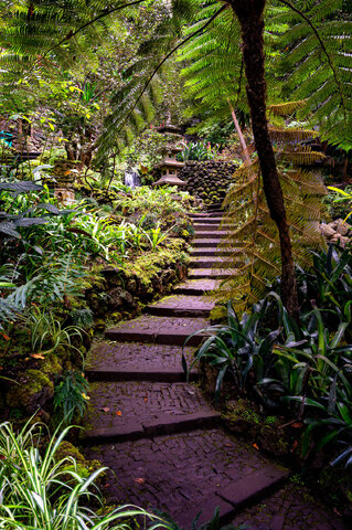 Giardino botanico di Funchal - Madeira 5