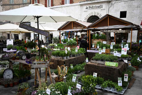 Mercatino a Perugia