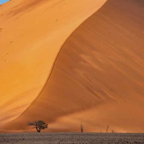 Namibia 2015 duna 25.jpg