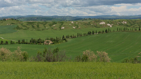 primavera senese 4/4