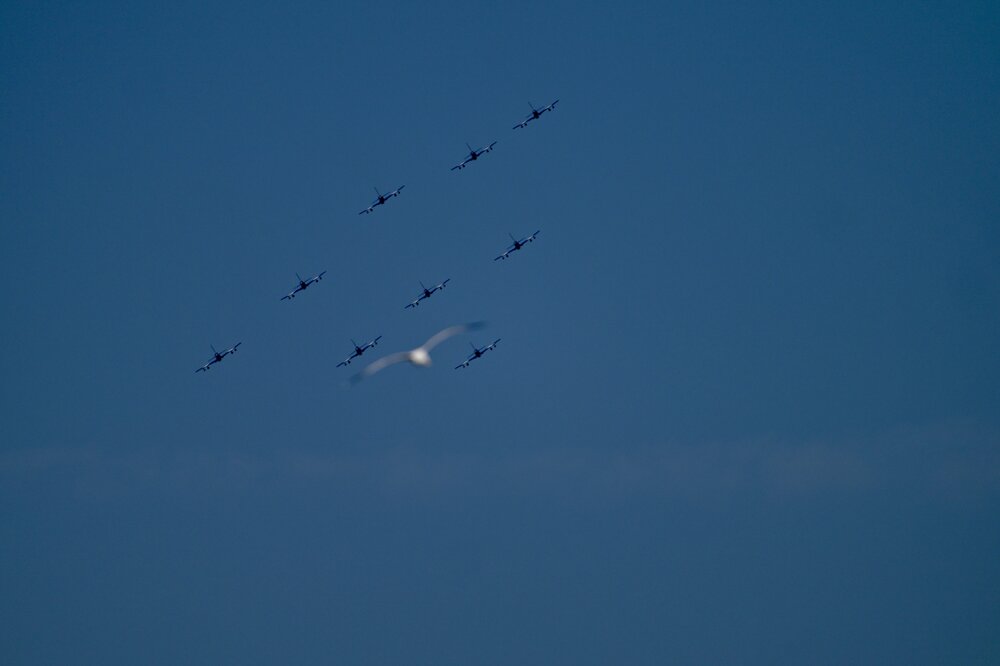 DSC_1194.jpeg