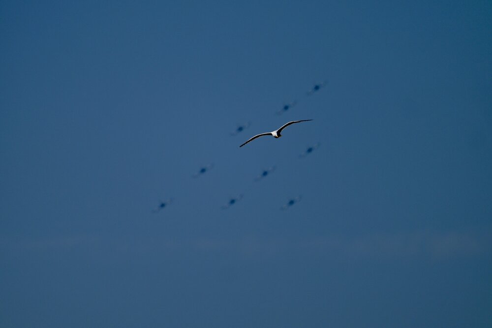 DSC_1196.jpeg
