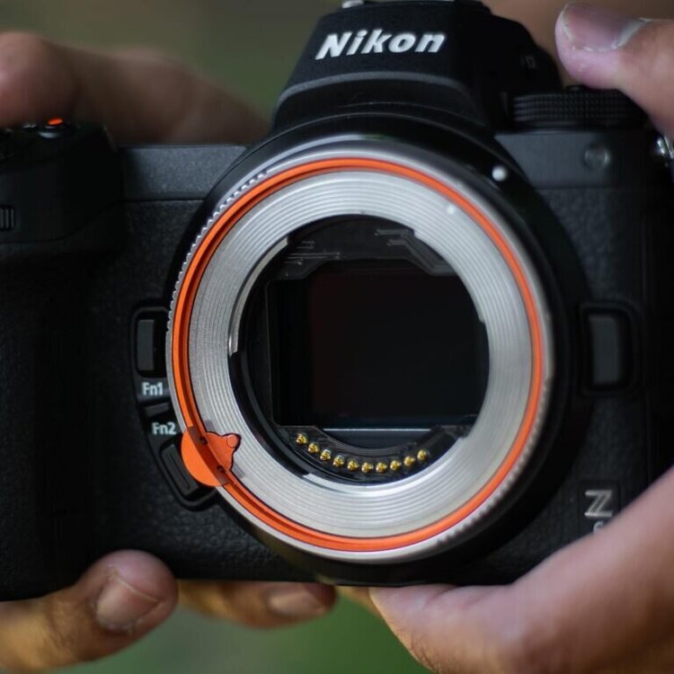 Fotodiox-Pro-Fusion-super-thin-Sony-E-lens-to-Nikon-Z-camera-autofocus-adapter-1-768x768.thumb.jpg.7cd2b1c1eafd049dac43fd4036ff225d.jpg
