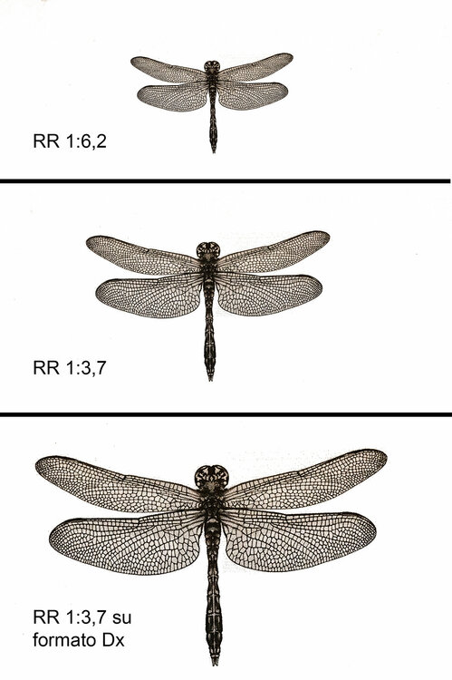 comparisons.thumb.jpg.cd582dafc42b6c2e2624a635d52c2cd4.jpg