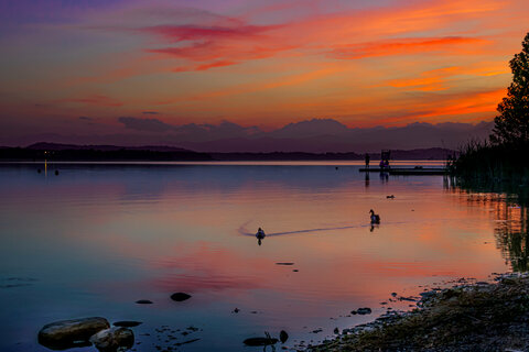 DSC_2948.jpg