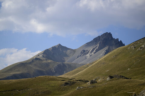 colle della Maddalena 1.0  prova 105 Z macro.jpg