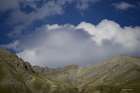 colle della Maddalena  prova 105 Z macro.jpg