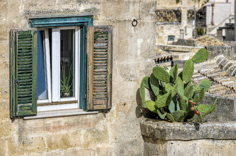 _FRV5922 Matera scorcio finestra e cactus_ok.jpg