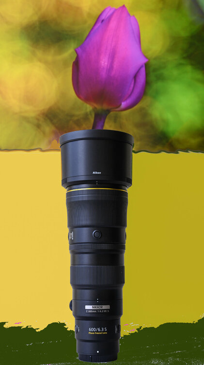 003-240524_Z8Z8150-ModificaMaxAquilaphoto.thumb.jpg.fecd9a98ff4b85a249f84383fe6edd49.jpg