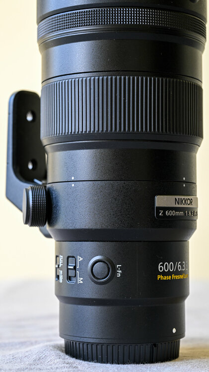 005 - 240524 _Z8Z8154  Max Aquila photo.jpg