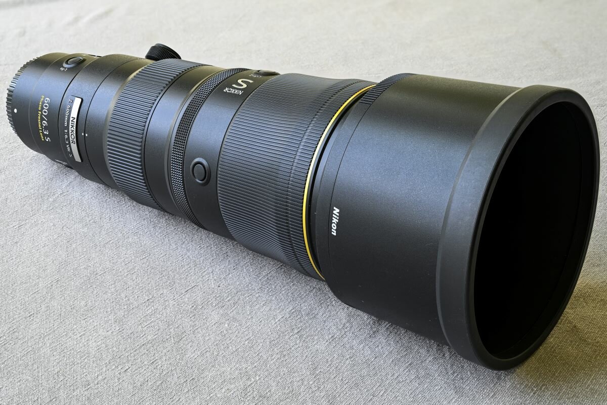 More information about "Nikkor Z 600mm f/6,3 VR S: il Ritrattista"