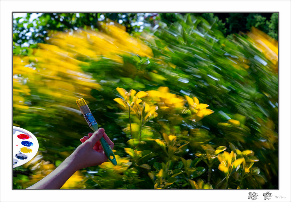 DSC_2266.thumb.jpg.9b827bd6d99c2a49ec84ff3d9a51100d.jpg