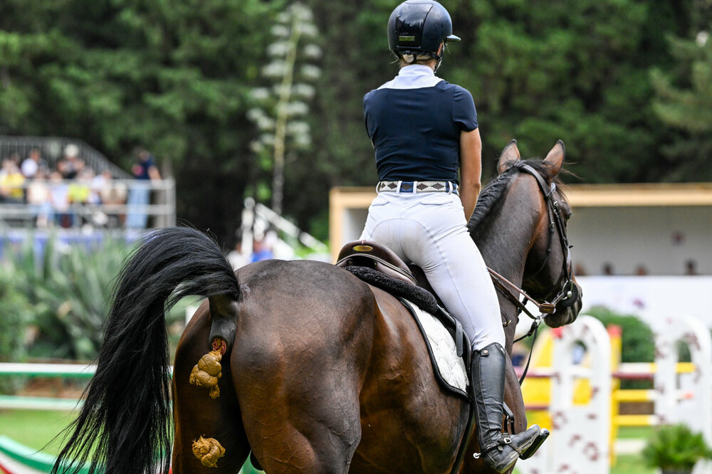 072-280924_Z9X8967MaxAquilaphoto.thumb.jpg.4b72030d028b6a1f64968cd4c24b1528.jpg