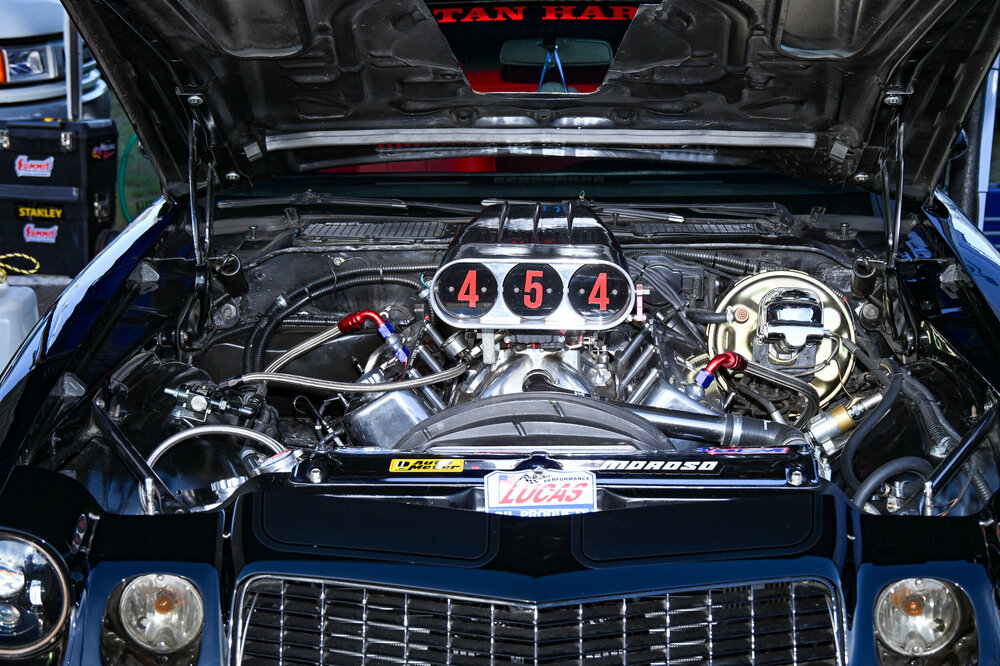 Z8X_6514.jpg