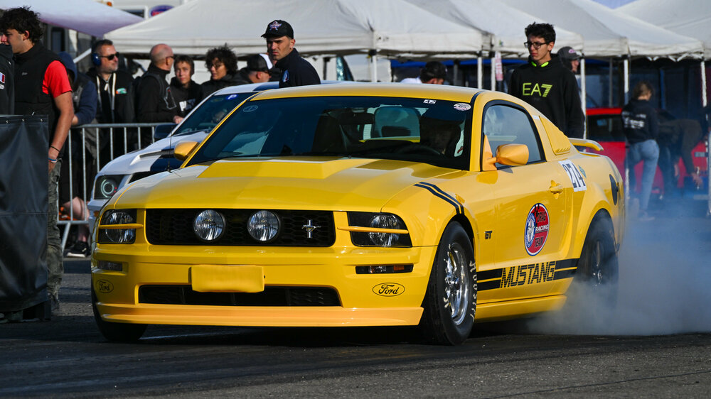 Z8X_7431.jpg