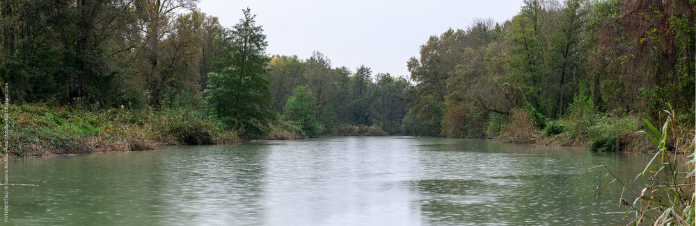 36_PLS_0571-Pano.thumb.jpg.6d22b621dd2e992b5c9105f95e3ffea8.jpg