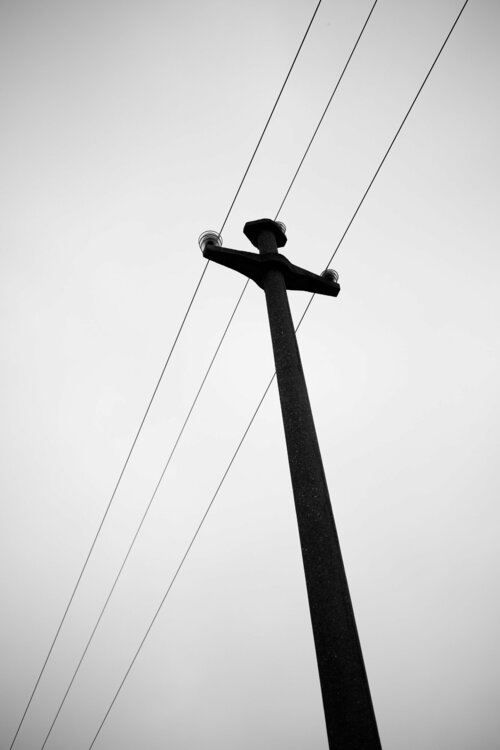 ZF3_3709.jpg