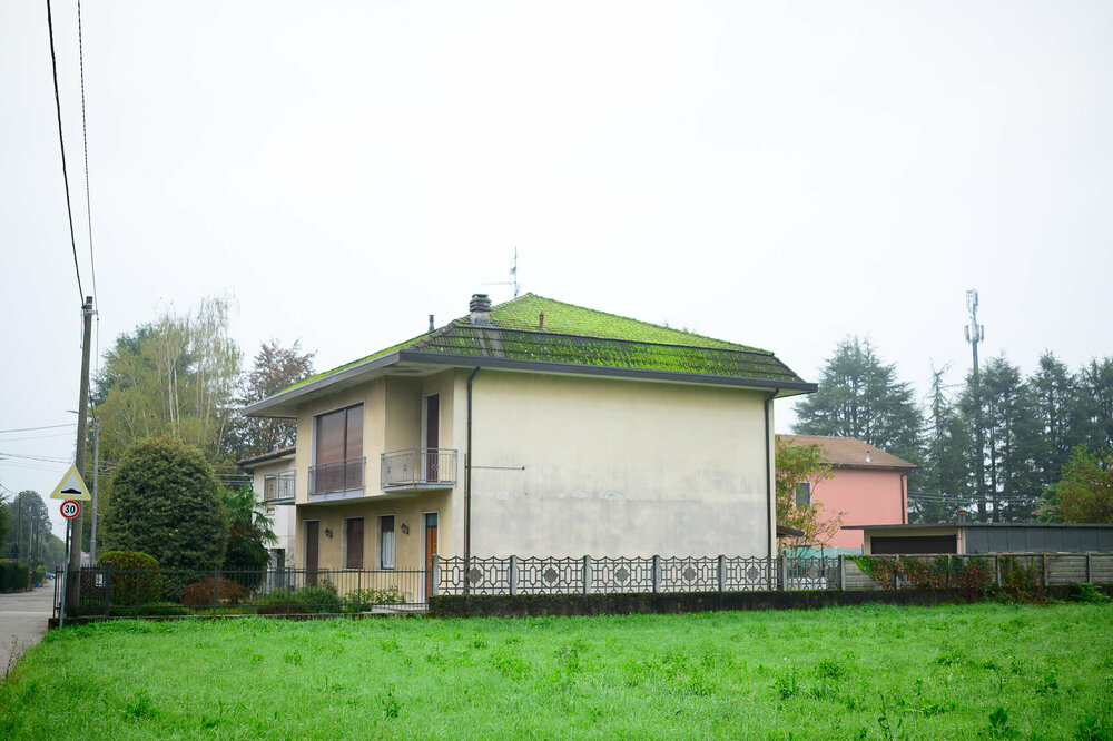 ZF3_3749.jpg
