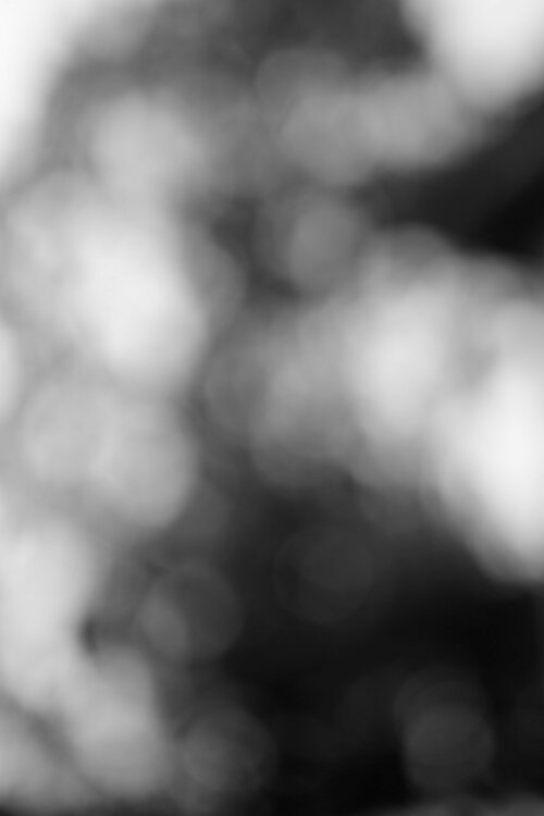 ZFH_5754.thumb.jpg.c182c91c7e11105019fb19fb016247b1.jpg
