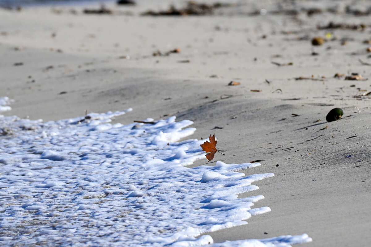 More information about "Nikon Z50II e Nikkor Z 180-600mm: e il mare d'inverno"