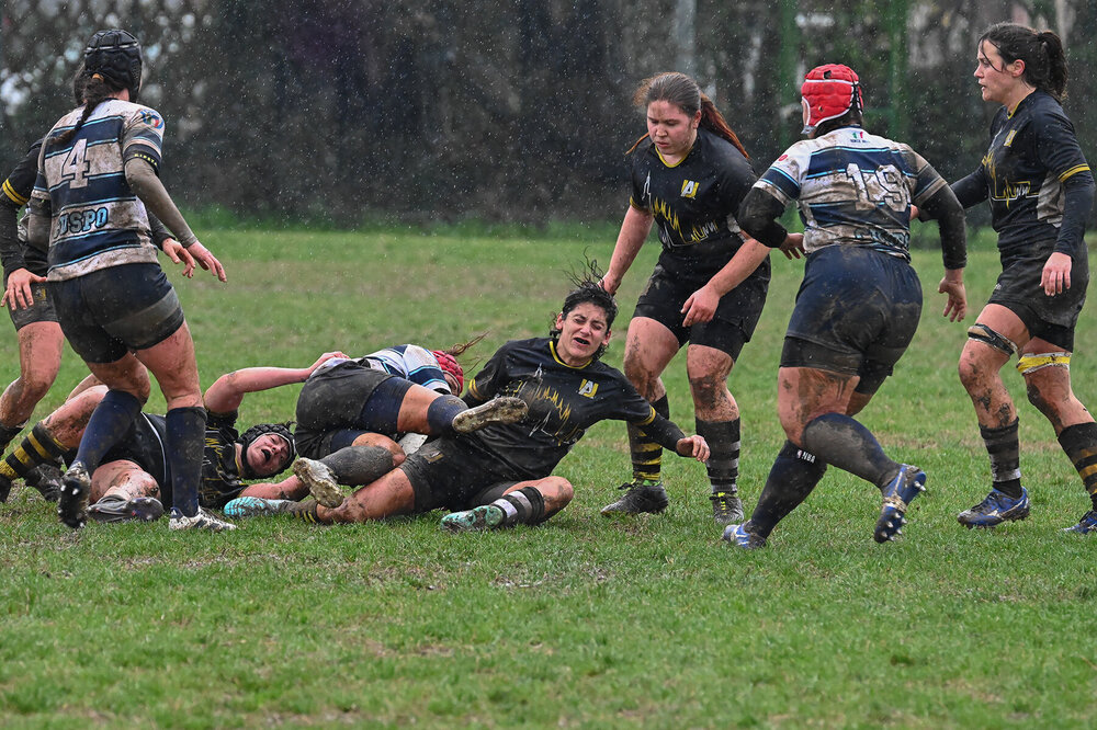 DSC_7399 rweb.jpg