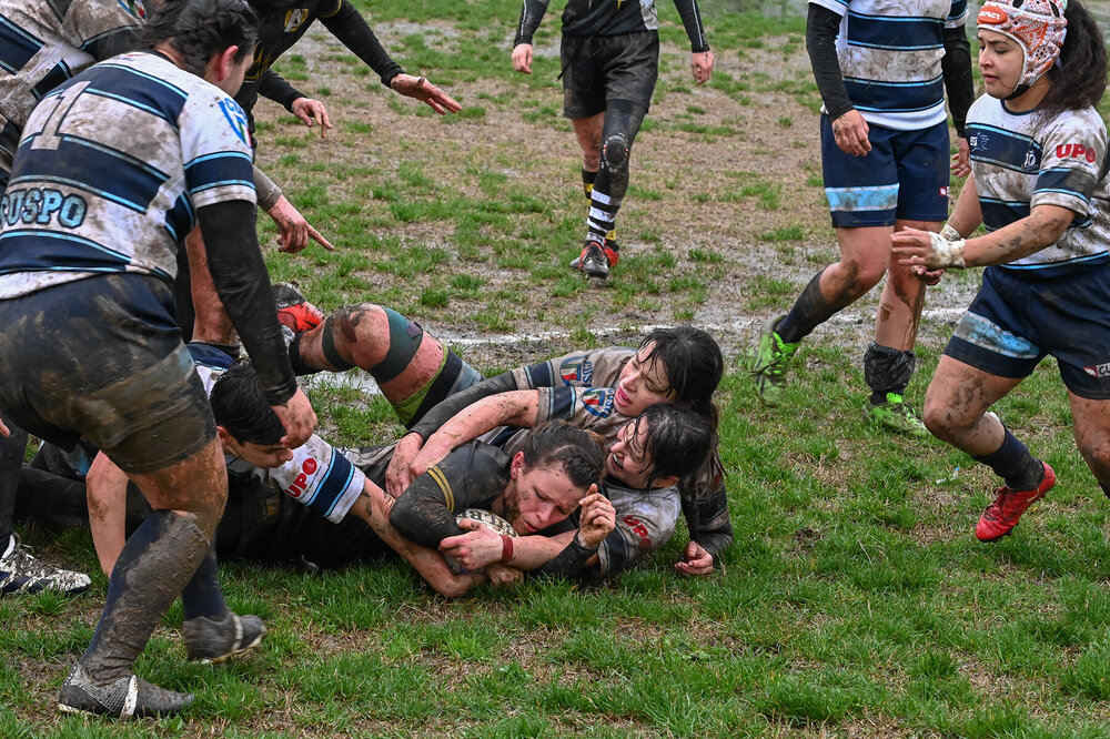 DSC_7517 rit2web.jpg