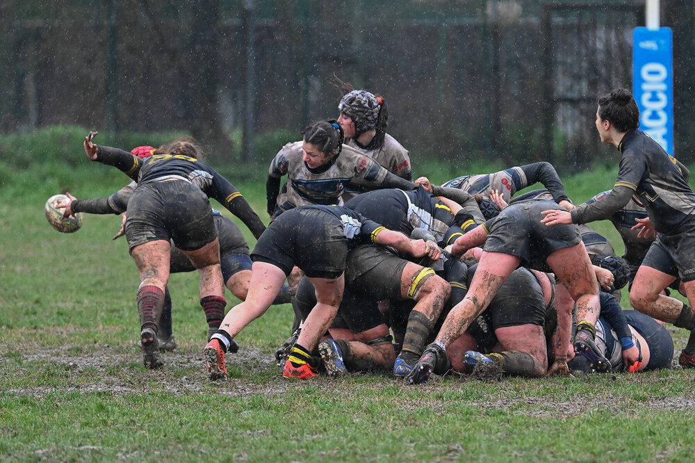 DSC_7969 rweb.jpg