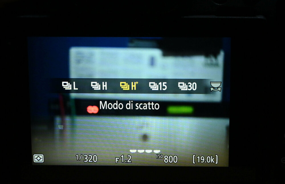 ZF3_3871.thumb.JPG.17dcb7cc5b7e22b1abb65315771adee1.JPG