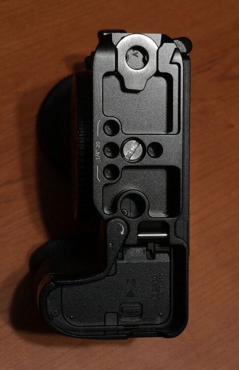 ZF3_3898.thumb.JPG.6c5fdf23ff8fdbb80a35c4120720445a.JPG