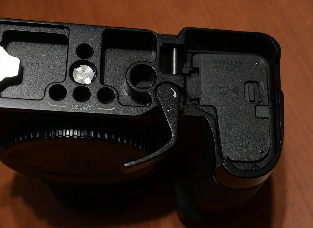 ZF3_3900.JPG