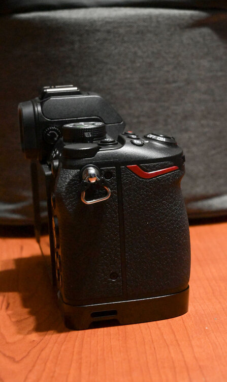 ZF3_3903.thumb.JPG.b4fbbadec460cfb62f5418889cf16f21.JPG