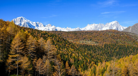 Grand Jorasses e dente del gigante.jpg