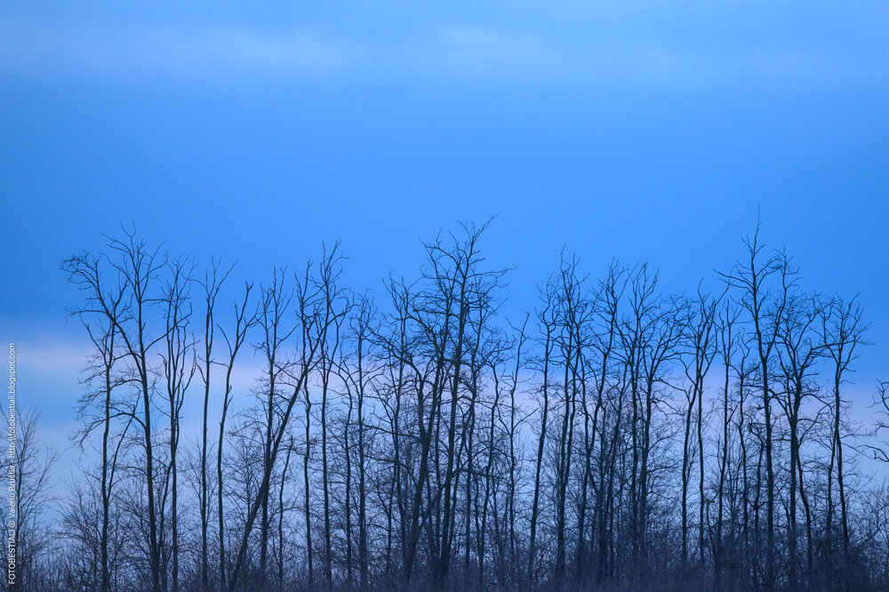 37_PLS_0013.thumb.jpg.f6f5f126c695097668c3f463efebde7e.jpg