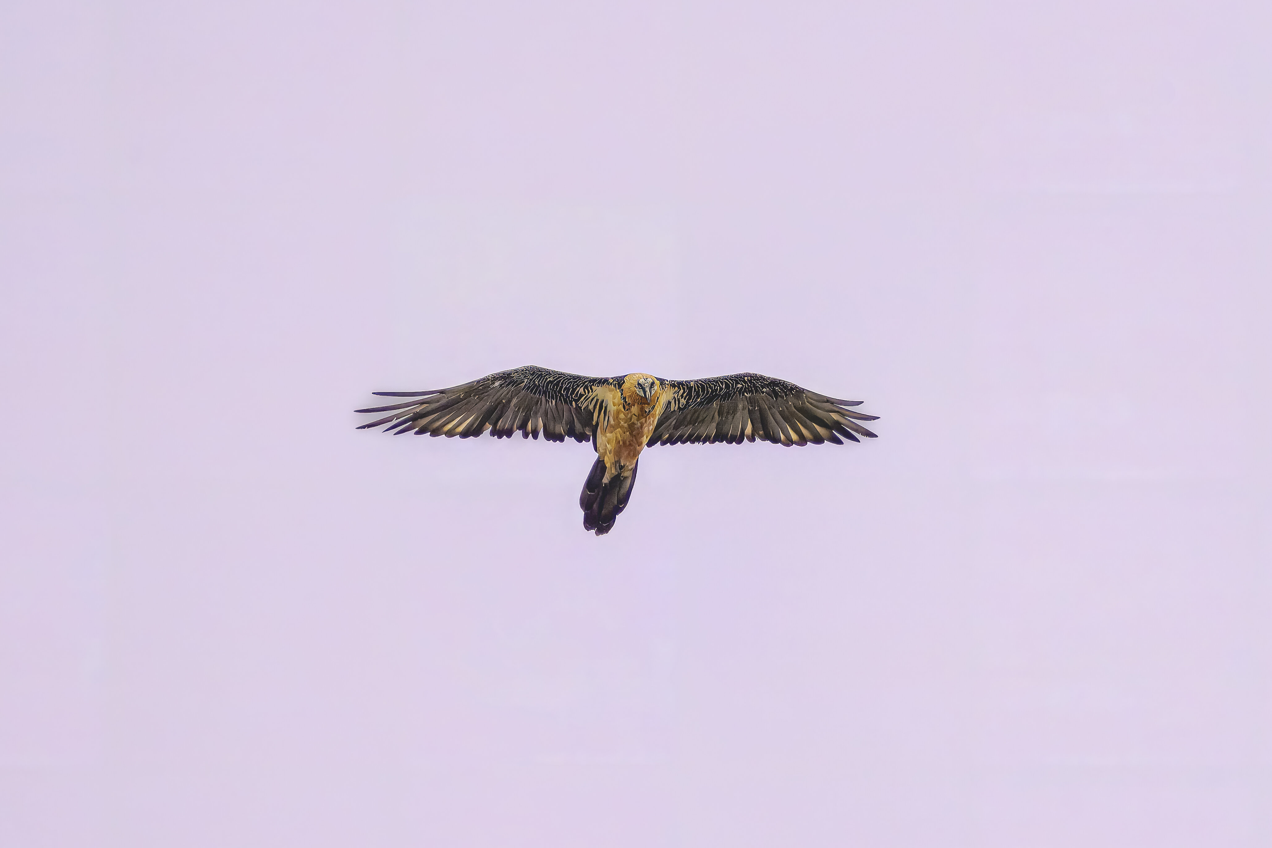 09072024_MBP1807_Z9