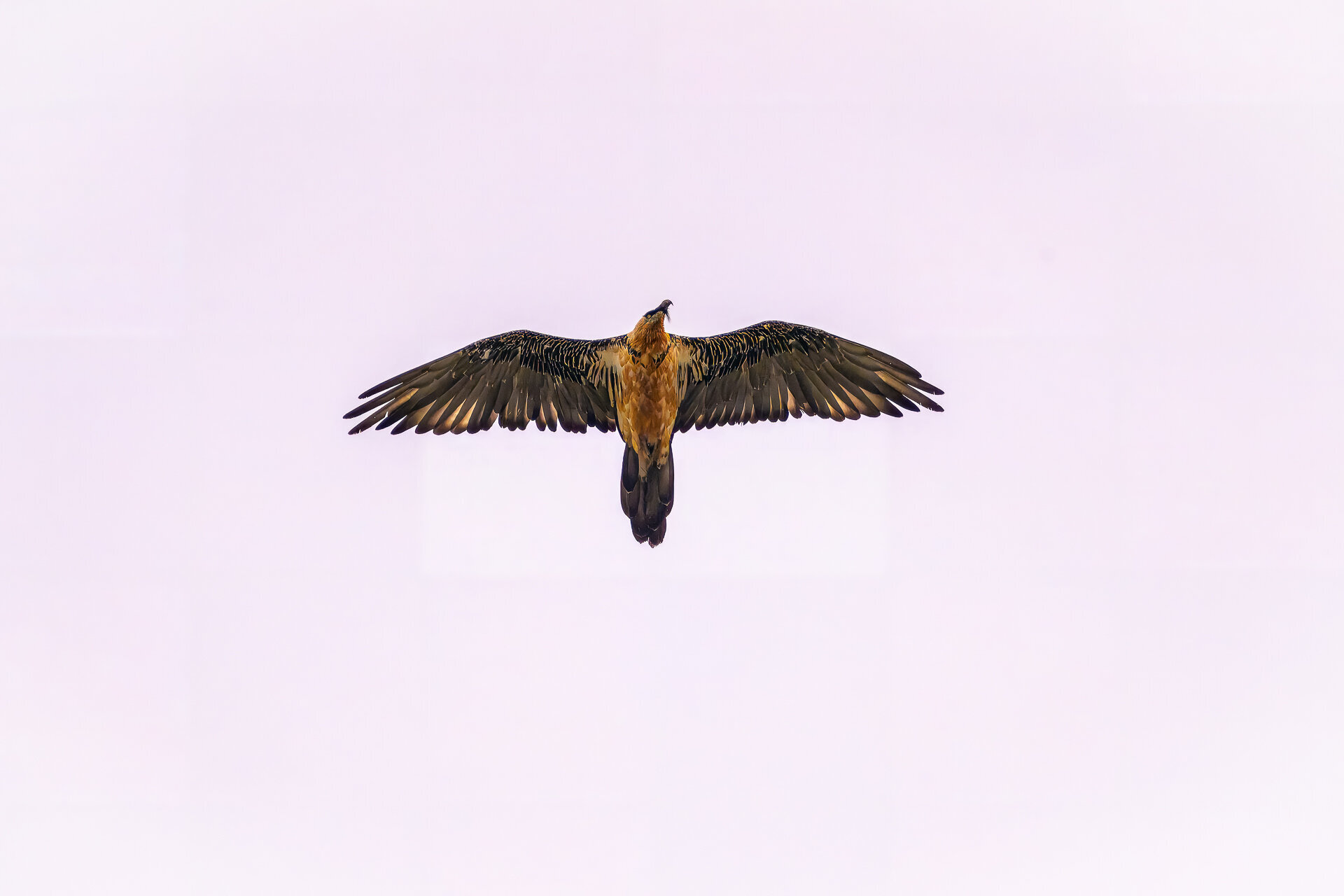09072024_MBP1822_Z9
