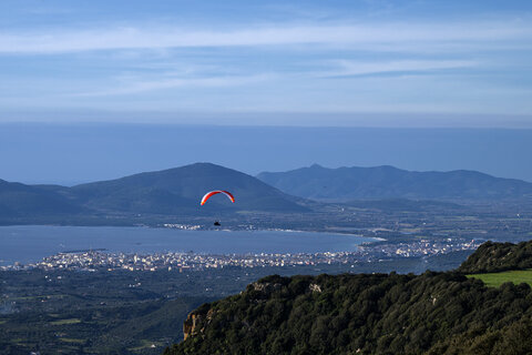 Volo