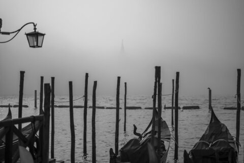 DSC_9456