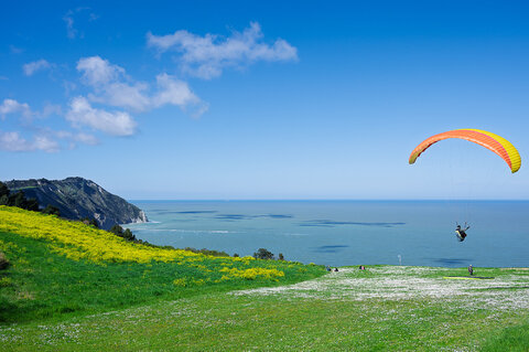 Primavera 30 03 2025.jpg