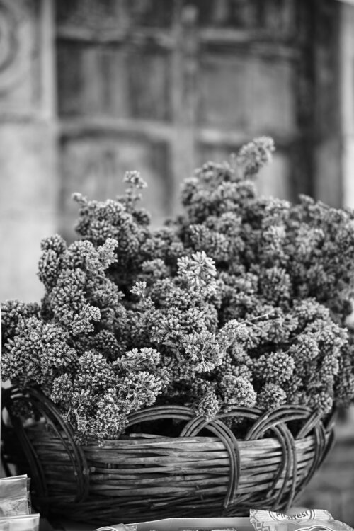 001-110425_Z526153MaxAquilaphoto.thumb.jpg.4b96b6f32e1a5ac6a447d2fb80cacc1d.jpg